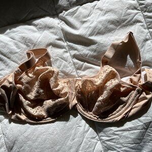 Chantelle Group 13F1 Underwire Unlined Nude Blush Full Coverage Bra size 34DDDD